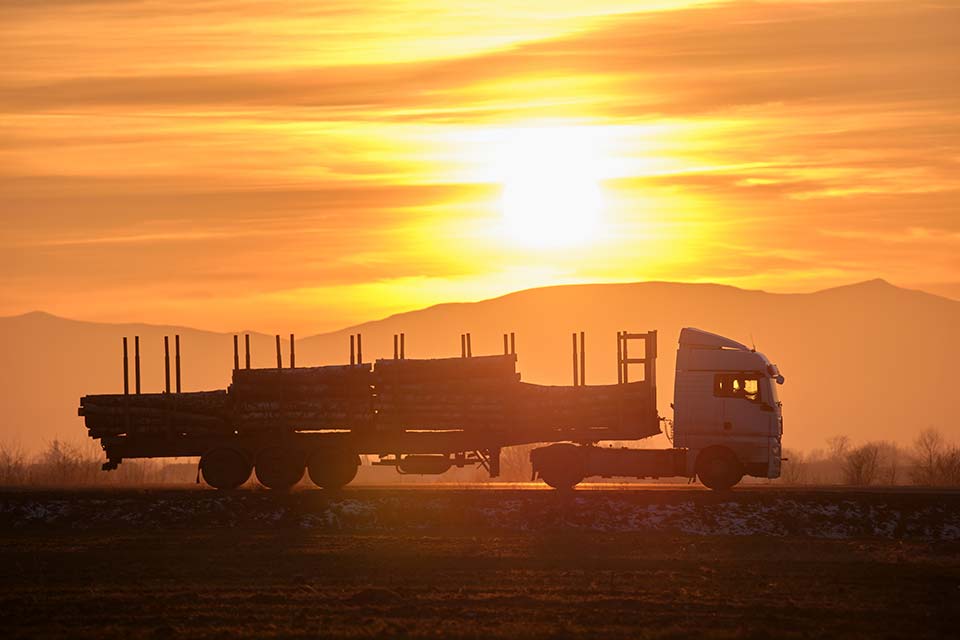 Quanti quintali può trasportare un camion